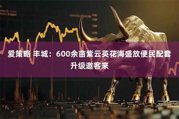 爱策略 丰城：600余亩紫云英花海盛放便民配套升级邀客来